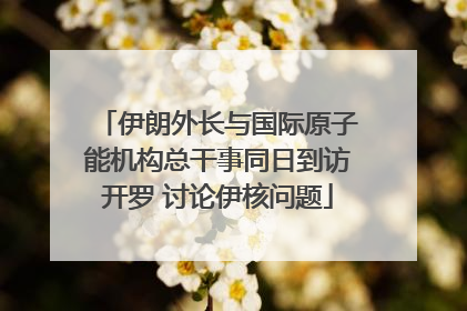 伊朗外长与国际原子能机构总干事同日到访开罗 讨论伊核问题