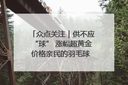 众点关注｜供不应“球” 涨幅超黄金 价格亲民的羽毛球为何身价飞涨？