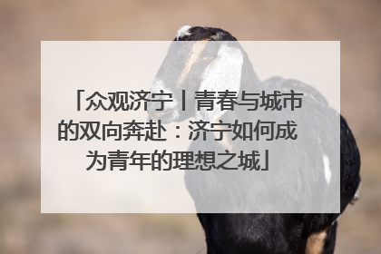 众观济宁丨青春与城市的双向奔赴：济宁如何成为青年的理想之城