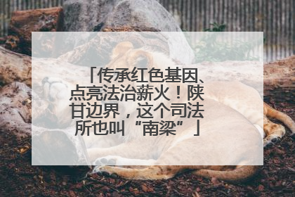 传承红色基因、点亮法治薪火！陕甘边界，这个司法所也叫“南梁”