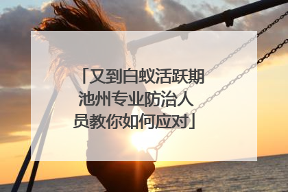 又到白蚁活跃期 池州专业防治人员教你如何应对