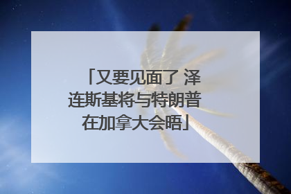 又要见面了 泽连斯基将与特朗普在加拿大会晤