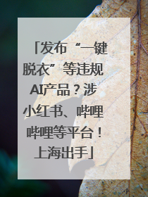 发布“一键脱衣”等违规AI产品？涉小红书、哔哩哔哩等平台！上海出手