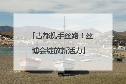 古都携手丝路！丝博会绽放新活力