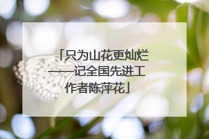 只为山花更灿烂——记全国先进工作者陈萍花