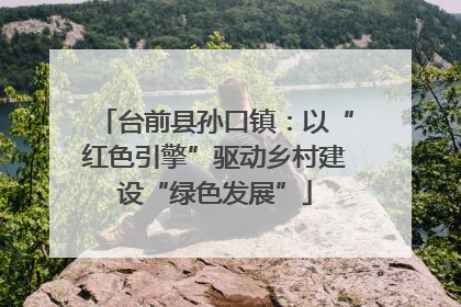 台前县孙口镇：以“红色引擎”驱动乡村建设“绿色发展”