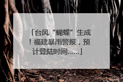 台风“蝴蝶”生成！福建暴雨警报，预计登陆时间……