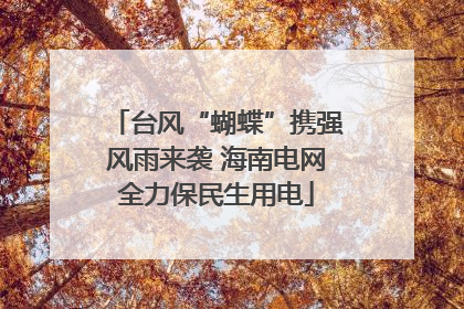 台风“蝴蝶”携强风雨来袭 海南电网全力保民生用电