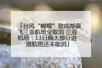 台风“蝴蝶”致成都直飞三亚航班全取消 三亚机场：13日晚大部分进港航班还未取消