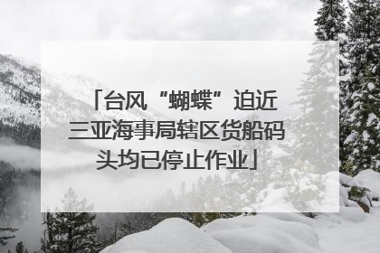 台风“蝴蝶”迫近 三亚海事局辖区货船码头均已停止作业
