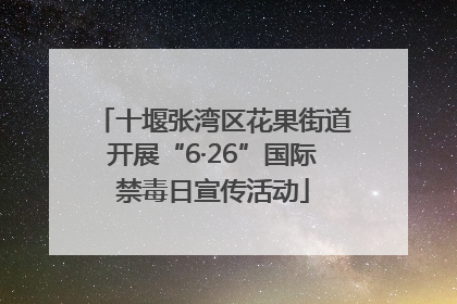 十堰张湾区花果街道开展“6·26”国际禁毒日宣传活动