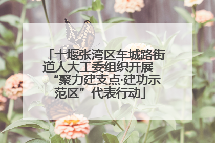 十堰张湾区车城路街道人大工委组织开展 “聚力建支点·建功示范区”代表行动