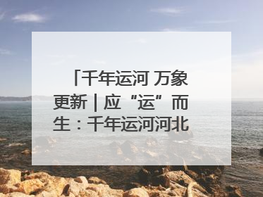 千年运河 万象更新｜应“运”而生：千年运河河北沧州段展新颜