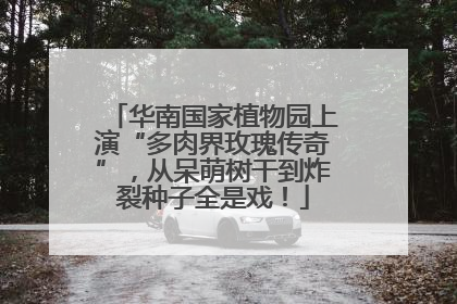 华南国家植物园上演“多肉界玫瑰传奇”，从呆萌树干到炸裂种子全是戏！