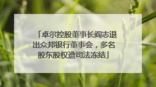 卓尔控股董事长阎志退出众邦银行董事会，多名股东股权遭司法冻结