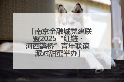 南京金融城党建联盟2025“红链・河西鹊桥”青年联谊派对甜蜜举办