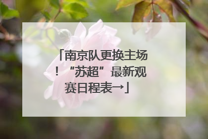 南京队更换主场！“苏超”最新观赛日程表→