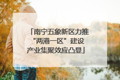 南宁五象新区力推“两港一区”建设 产业集聚效应凸显