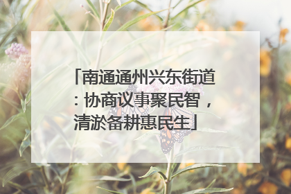 南通通州兴东街道：协商议事聚民智，清淤备耕惠民生