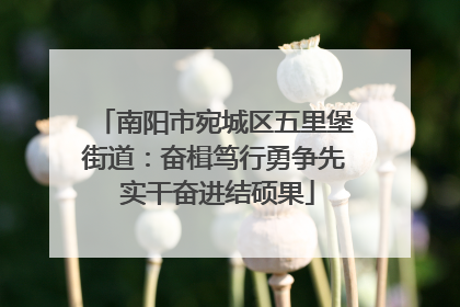 南阳市宛城区五里堡街道：奋楫笃行勇争先 实干奋进结硕果