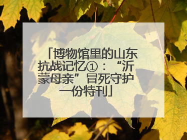博物馆里的山东抗战记忆①：“沂蒙母亲”冒死守护一份特刊