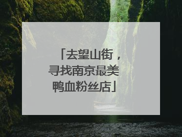 去望山街，寻找南京最美鸭血粉丝店