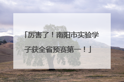 厉害了！南阳市实验学子获全省预赛第一！