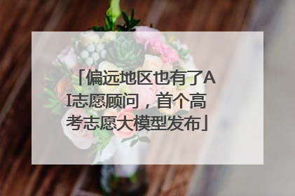 偏远地区也有了AI志愿顾问，首个高考志愿大模型发布