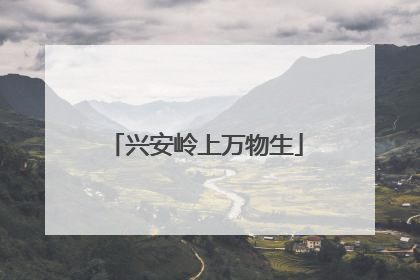 兴安岭上万物生