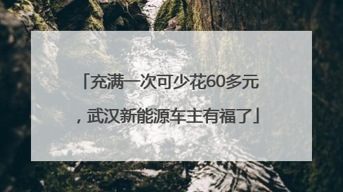 充满一次可少花60多元，武汉新能源车主有福了