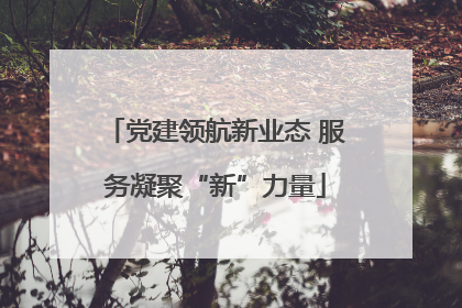 党建领航新业态 服务凝聚“新”力量