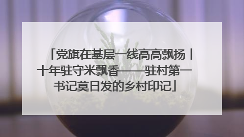 党旗在基层一线高高飘扬丨十年驻守米飘香——驻村第一书记莫日发的乡村印记
