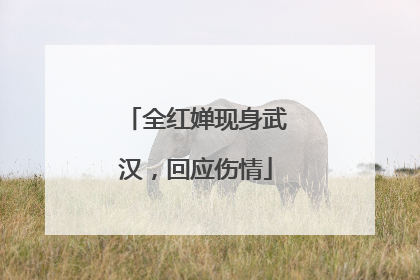 全红婵现身武汉，回应伤情