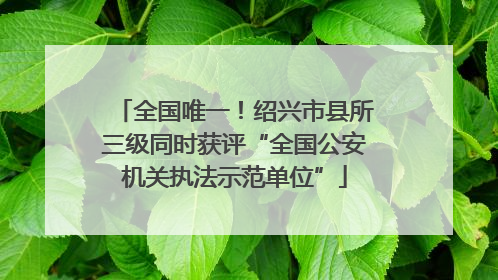 全国唯一！绍兴市县所三级同时获评“全国公安机关执法示范单位”