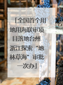 全国首个用地用海联审项目落地台州 浙江探索“地林草海”审批一次办