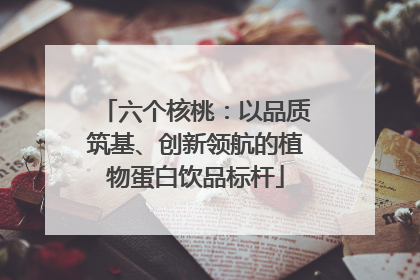六个核桃：以品质筑基、创新领航的植物蛋白饮品标杆