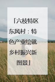 六枝特区东风村：特色产业绘就乡村振兴新图景