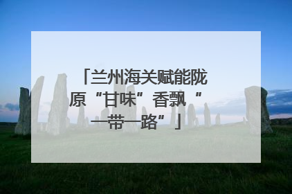 兰州海关赋能陇原“甘味”香飘“一带一路”