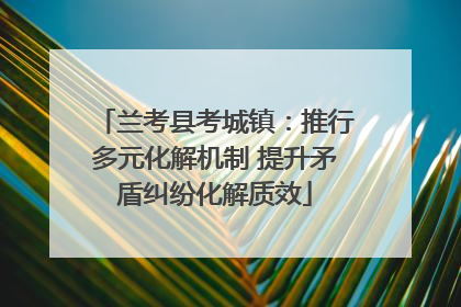 兰考县考城镇：推行多元化解机制 提升矛盾纠纷化解质效