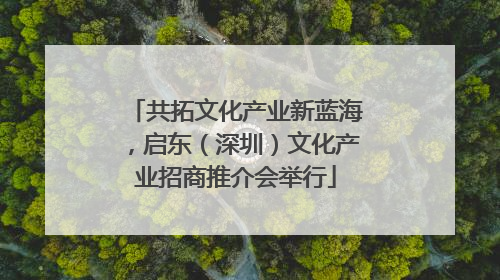 共拓文化产业新蓝海，启东（深圳）文化产业招商推介会举行