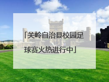 关岭自治县校园足球赛火热进行中
