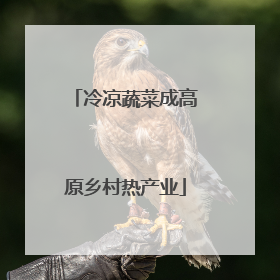 冷凉蔬菜成高原乡村热产业
