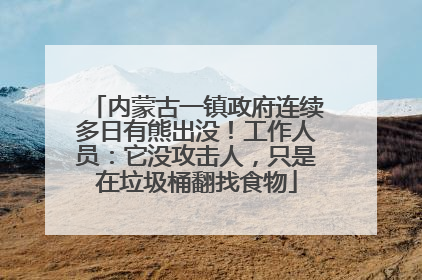 内蒙古一镇政府连续多日有熊出没！工作人员：它没攻击人，只是在垃圾桶翻找食物