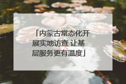 内蒙古常态化开展实地访查 让基层服务更有温度