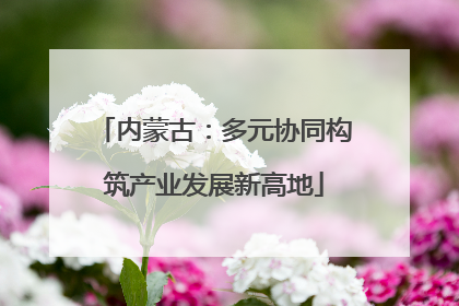 内蒙古：多元协同构筑产业发展新高地