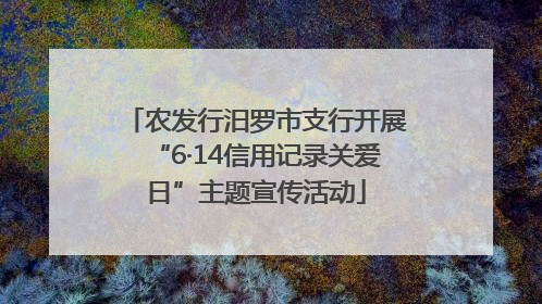 农发行汨罗市支行开展“6·14信用记录关爱日”主题宣传活动