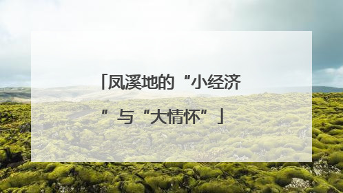 凤溪地的“小经济”与“大情怀”