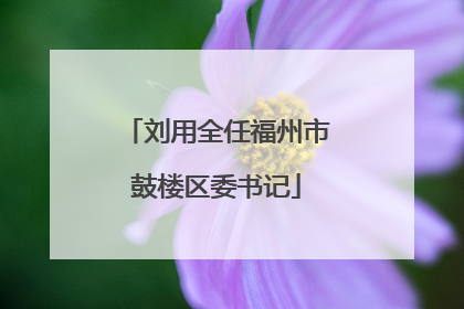刘用全任福州市鼓楼区委书记