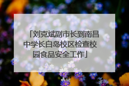 刘克斌副市长到南昌中学长白岛校区检查校园食品安全工作