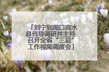 刘宁到周口商水县督导调研并主持召开全省“三夏”工作视频调度会